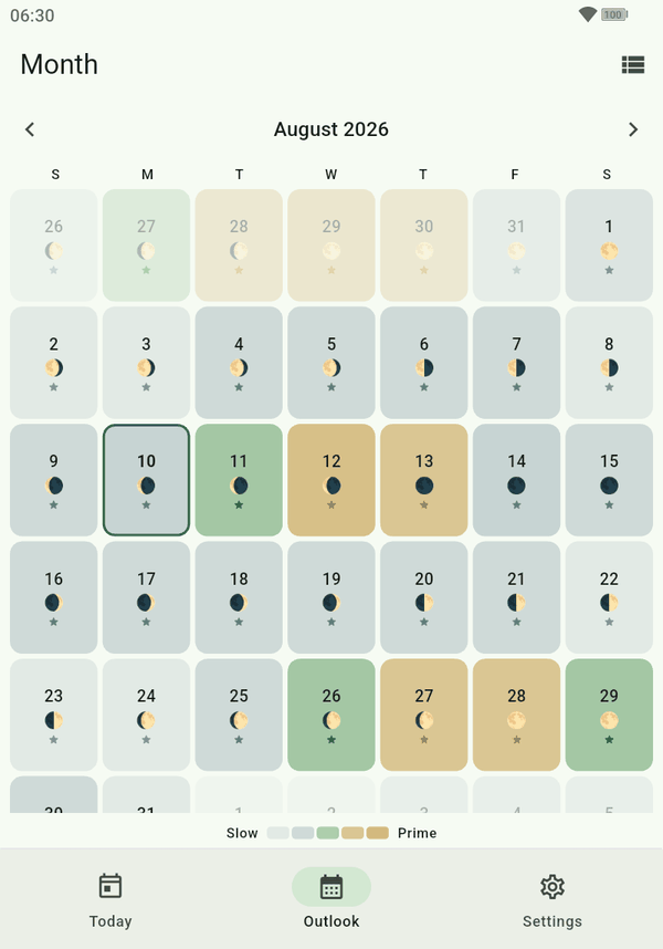 Month calendar view with a rating on each day