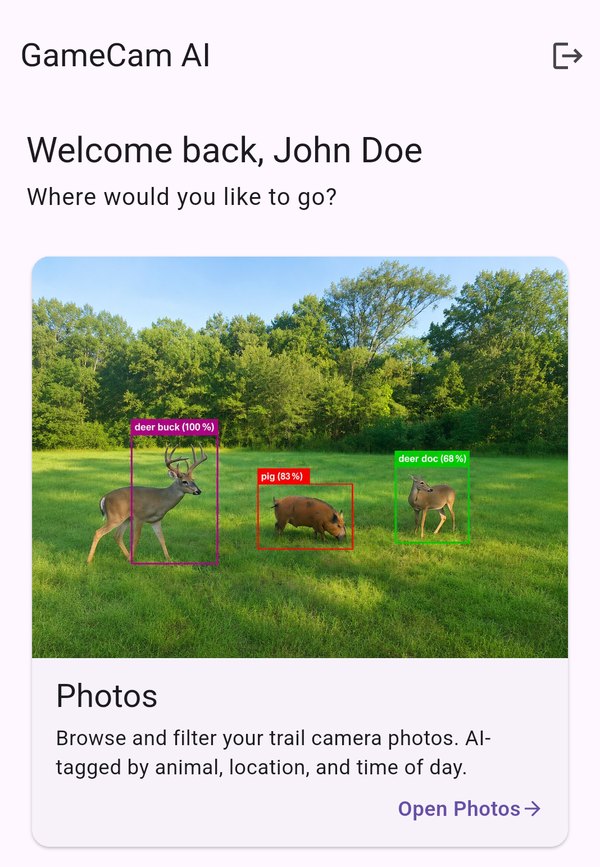 Dashboard summarising recent camera activity